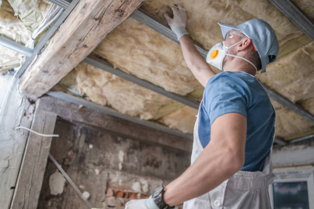 Best Commercial Insulation in New Haven, WV