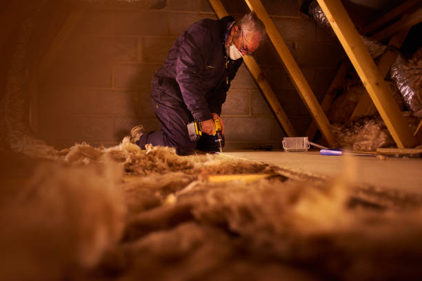 Best Insulation Installation Services in New Haven, WV